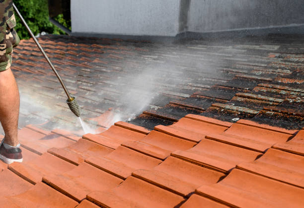 Best Pressure Washing Cost  in Montrose, CO